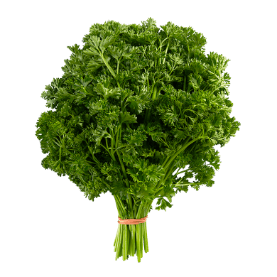 PARSLEY