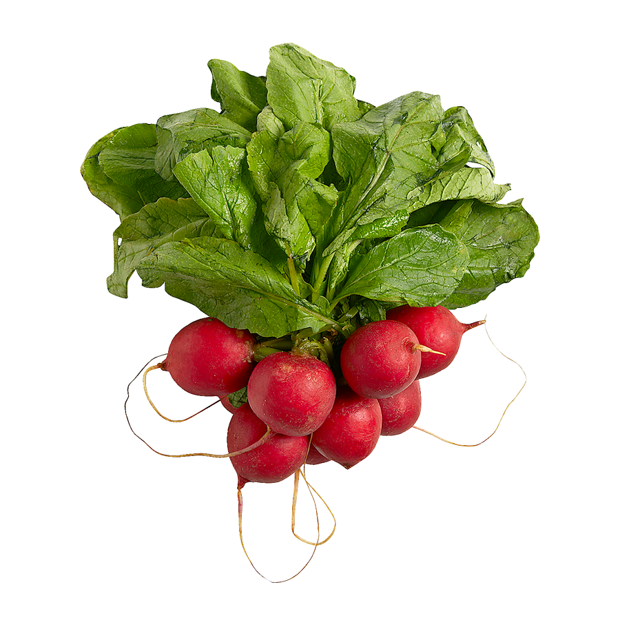 RADISHES