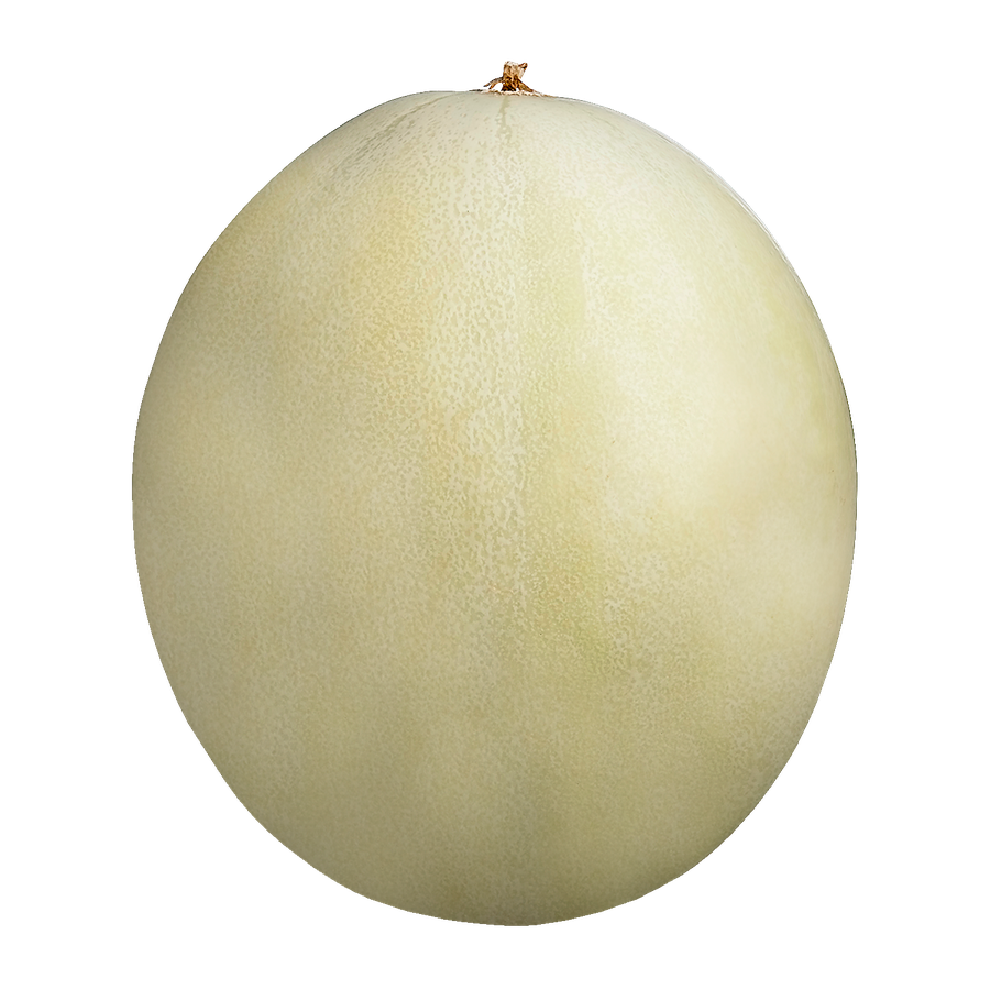 HONEYDEW