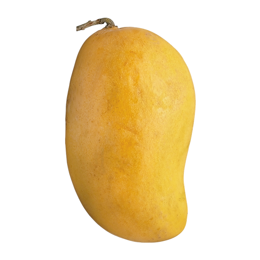 MANGO ATAULFO