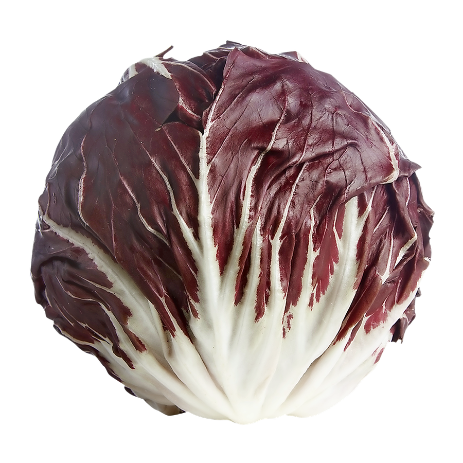 RADICCHIO