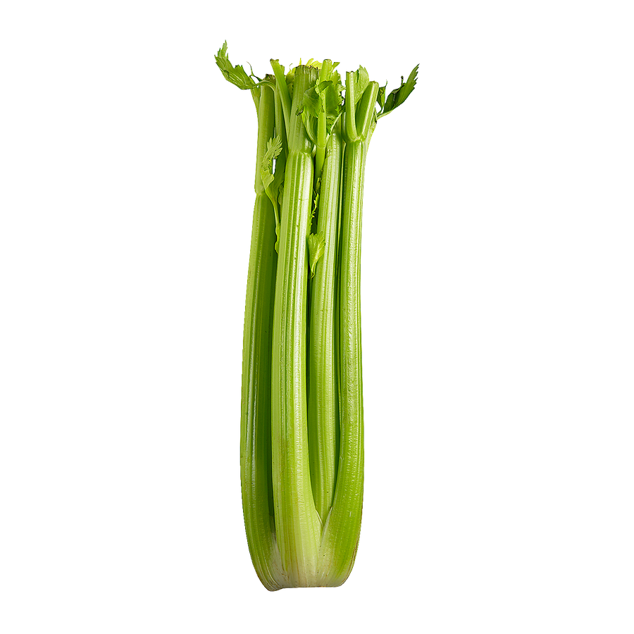 CELERY