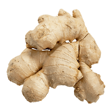 GINGER