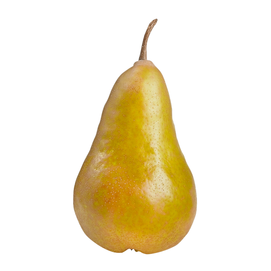 BOSC PEARS