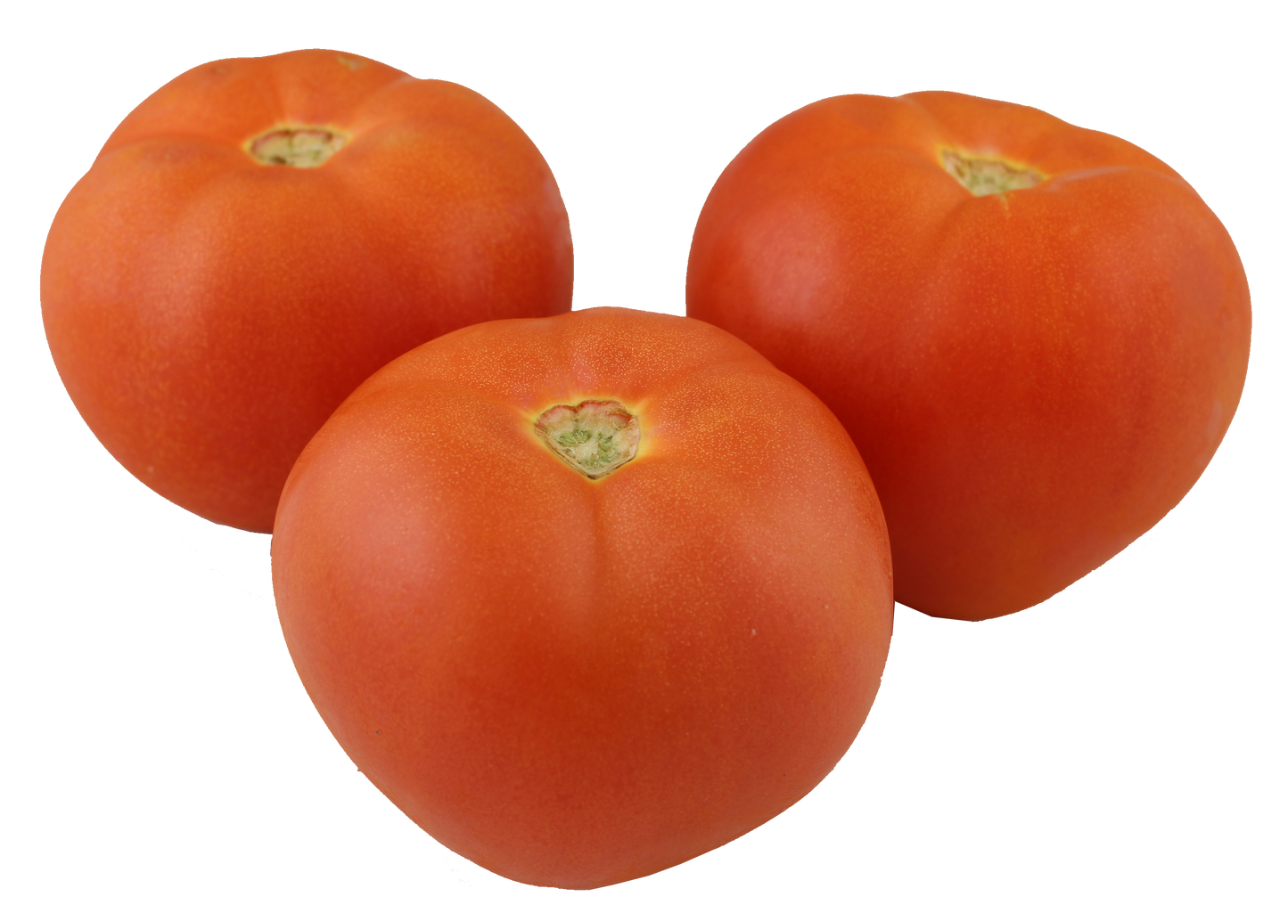 NO 1 TOMATOES