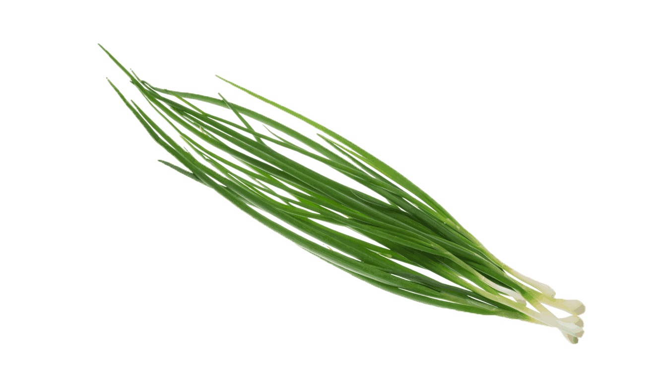 CHIVES