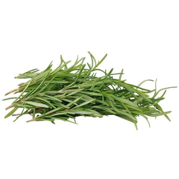 ROSEMARY