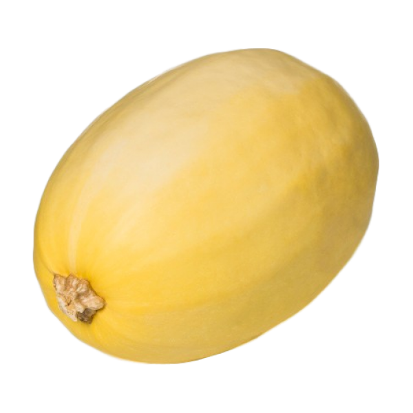 SPAGHETTI SQUASH