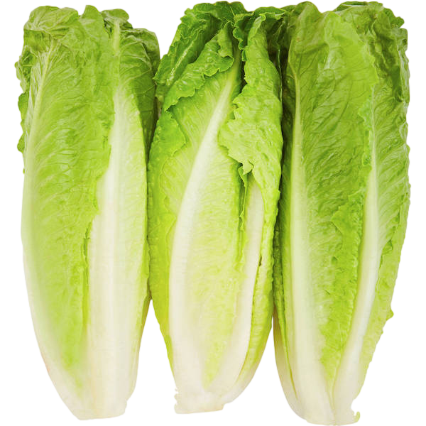 ROMAINE HEARTS