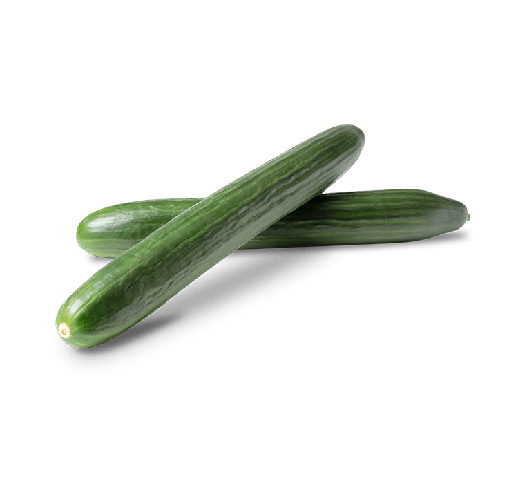 ENGLISH CUCUMBER