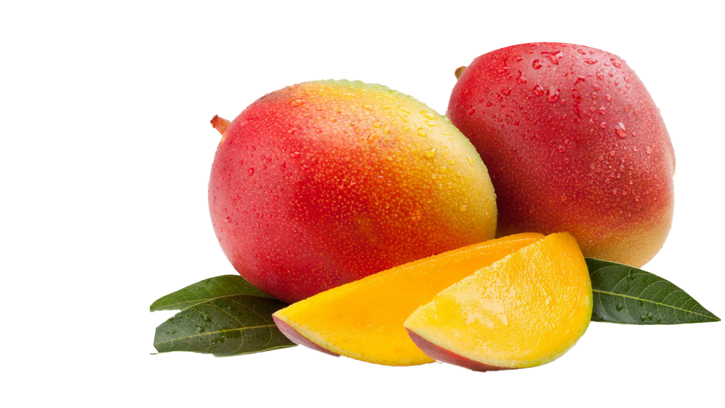 MANGO KENT