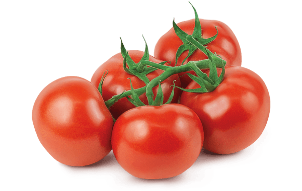 VINE TOMATOES