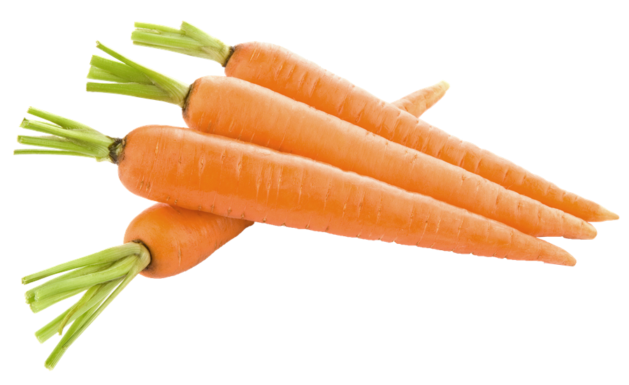 CARROTS