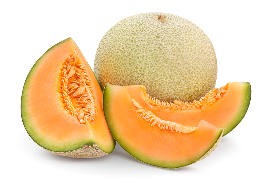 CANTALOUPE