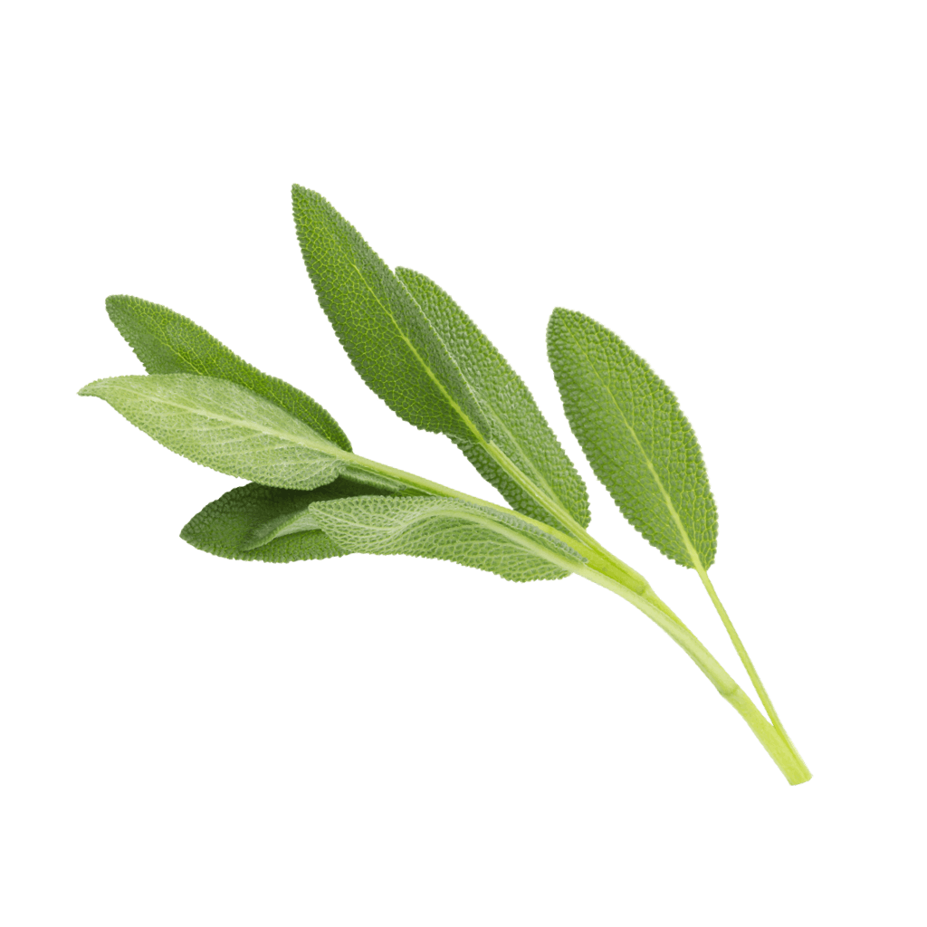 SAGE