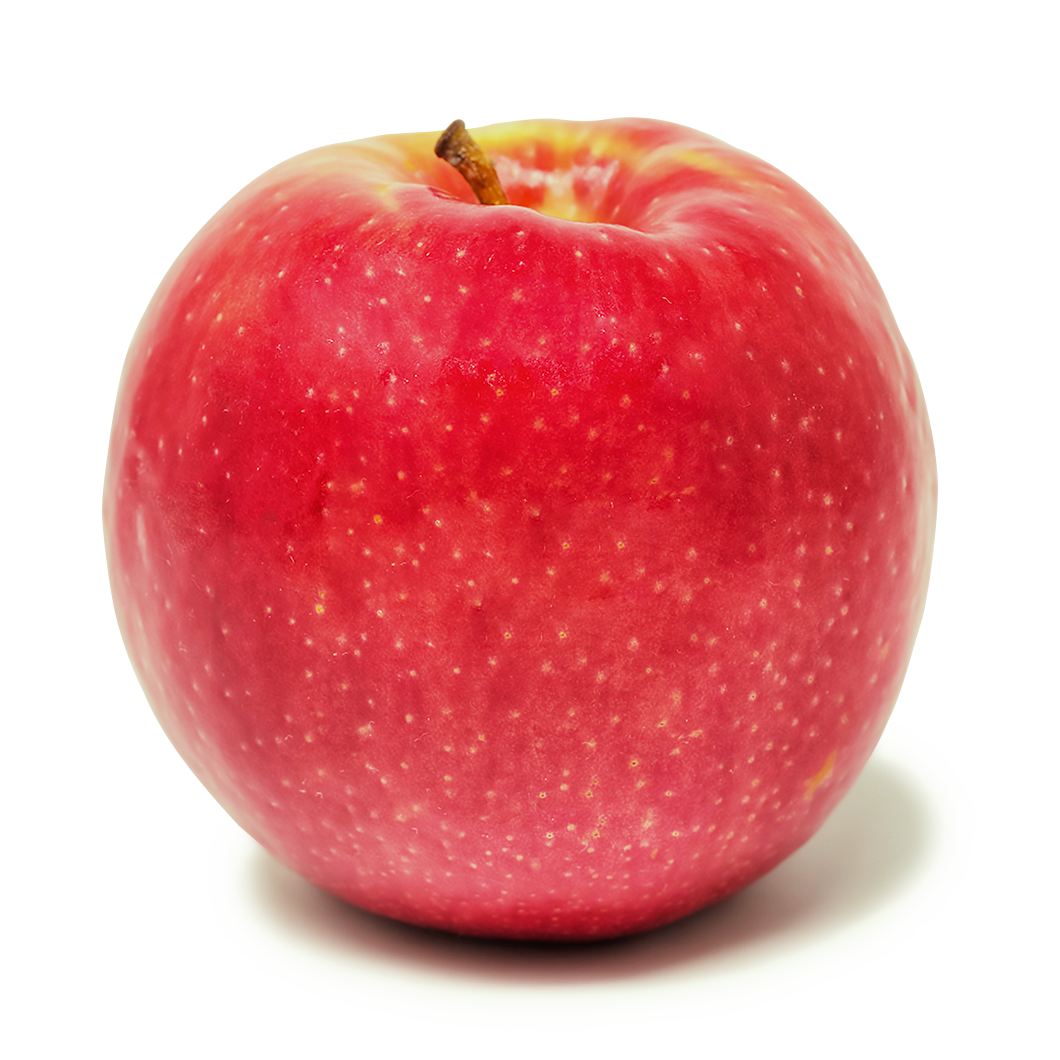 APPLE PINK LADY