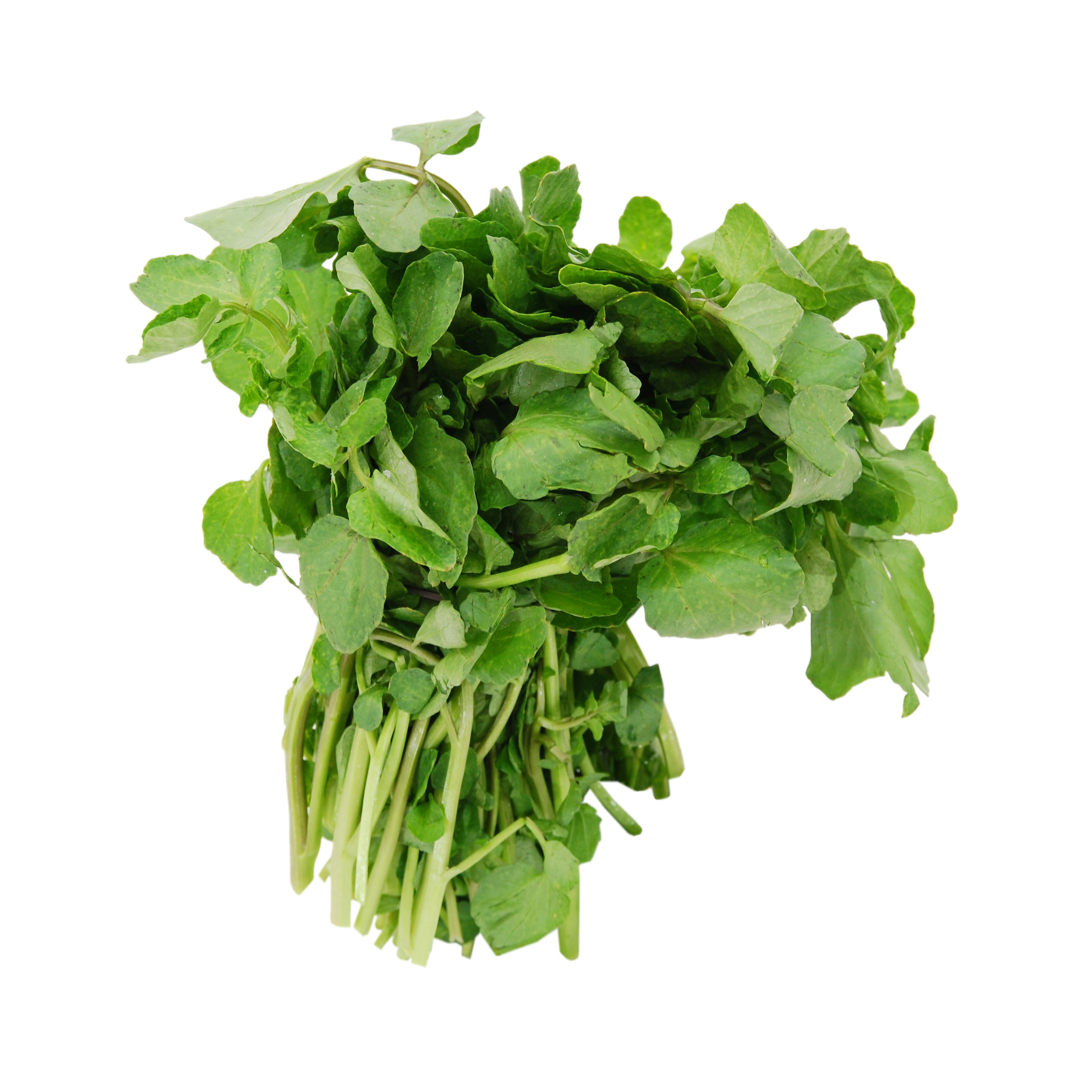 WATERCRESS