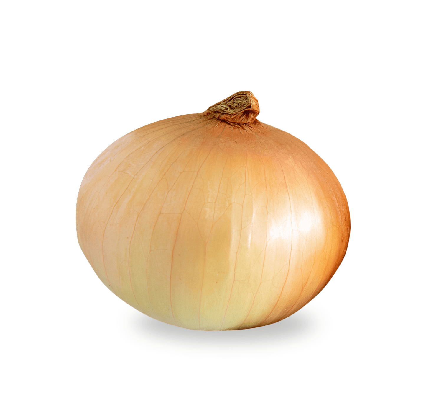 SWEET ONION