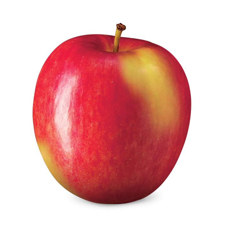 APPLE AMBROSIA