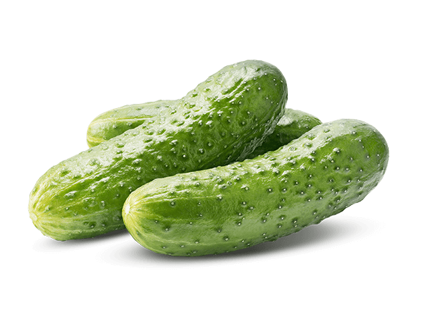 PICKLED CUCUMBERS