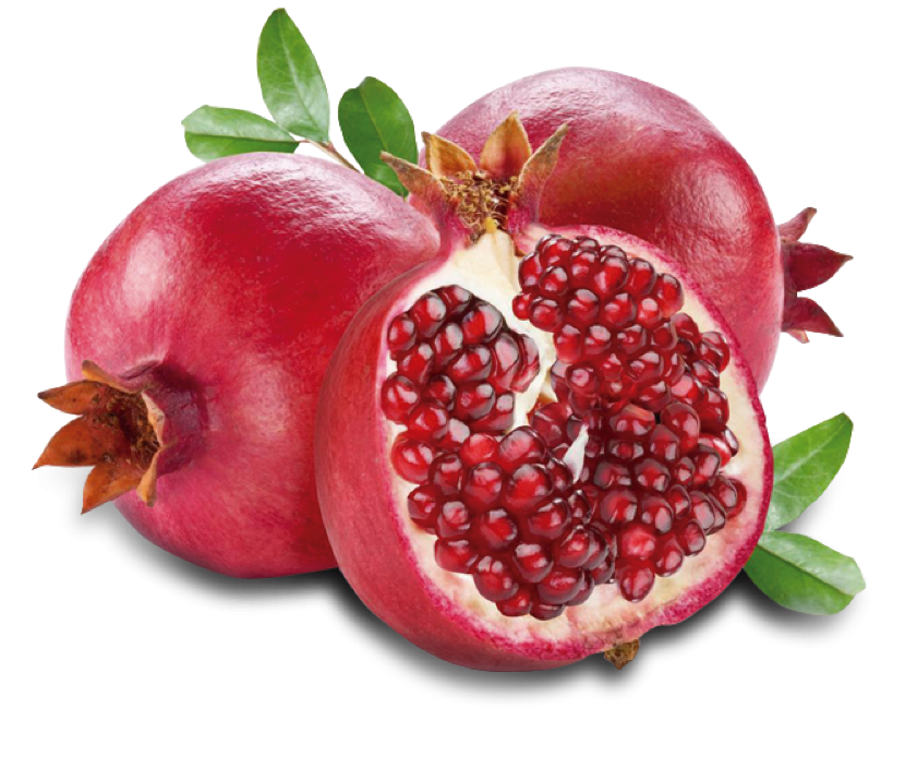 POMEGRANATE