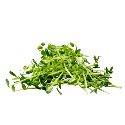 PEA SHOOTS
