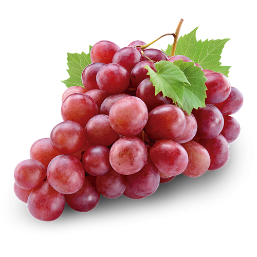 RED GRAPE SEEDLESS