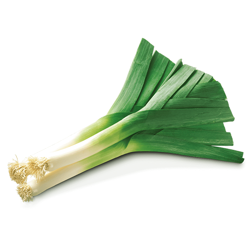 LEEKS