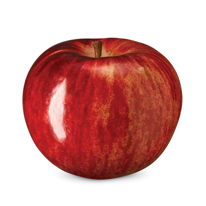 APPLE CORTLAND