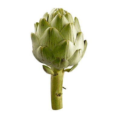 ARTICHOKES