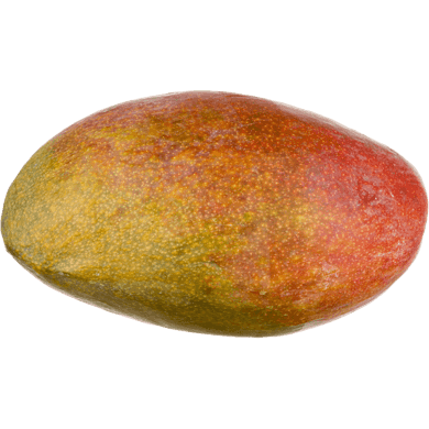 MANGO PALMER