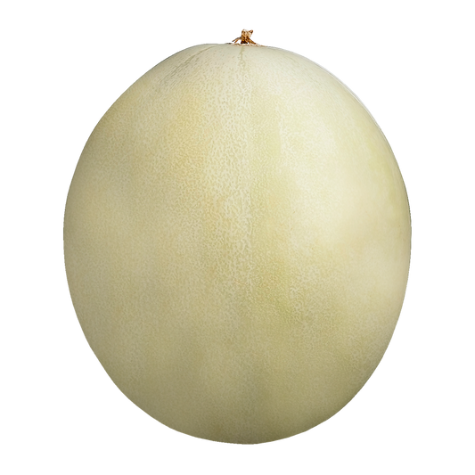 HONEYDEW