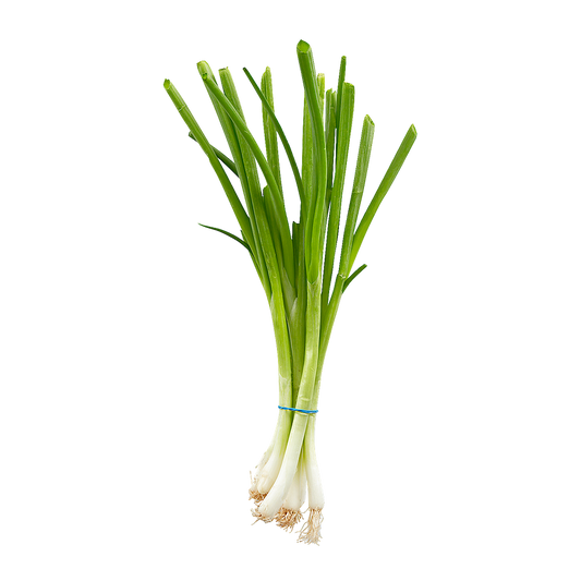 GREEN ONION ICELESS