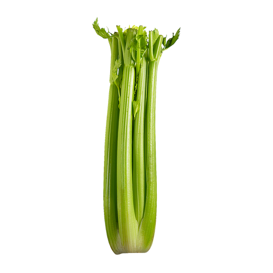 CELERY