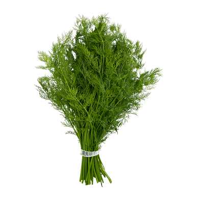 DILL