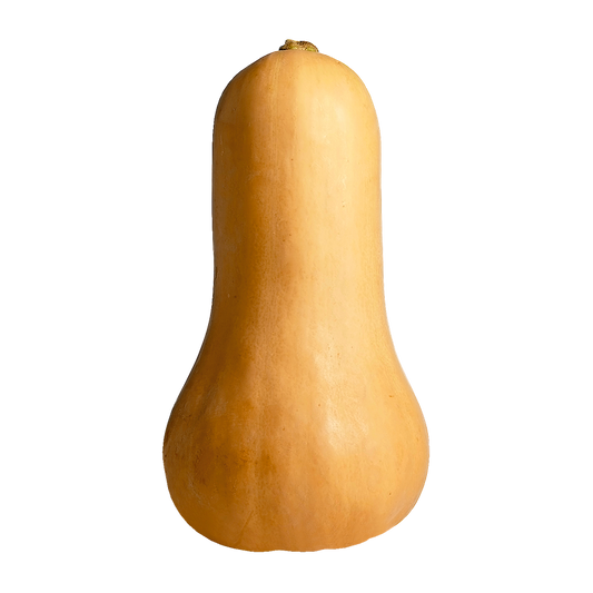 BUTTERNUT SQUASH