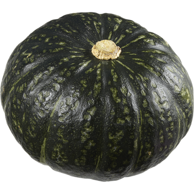 KABOCHA SQUASH