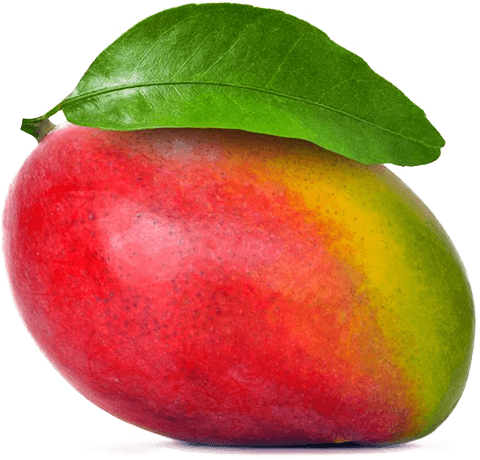 MANGO ATKINS
