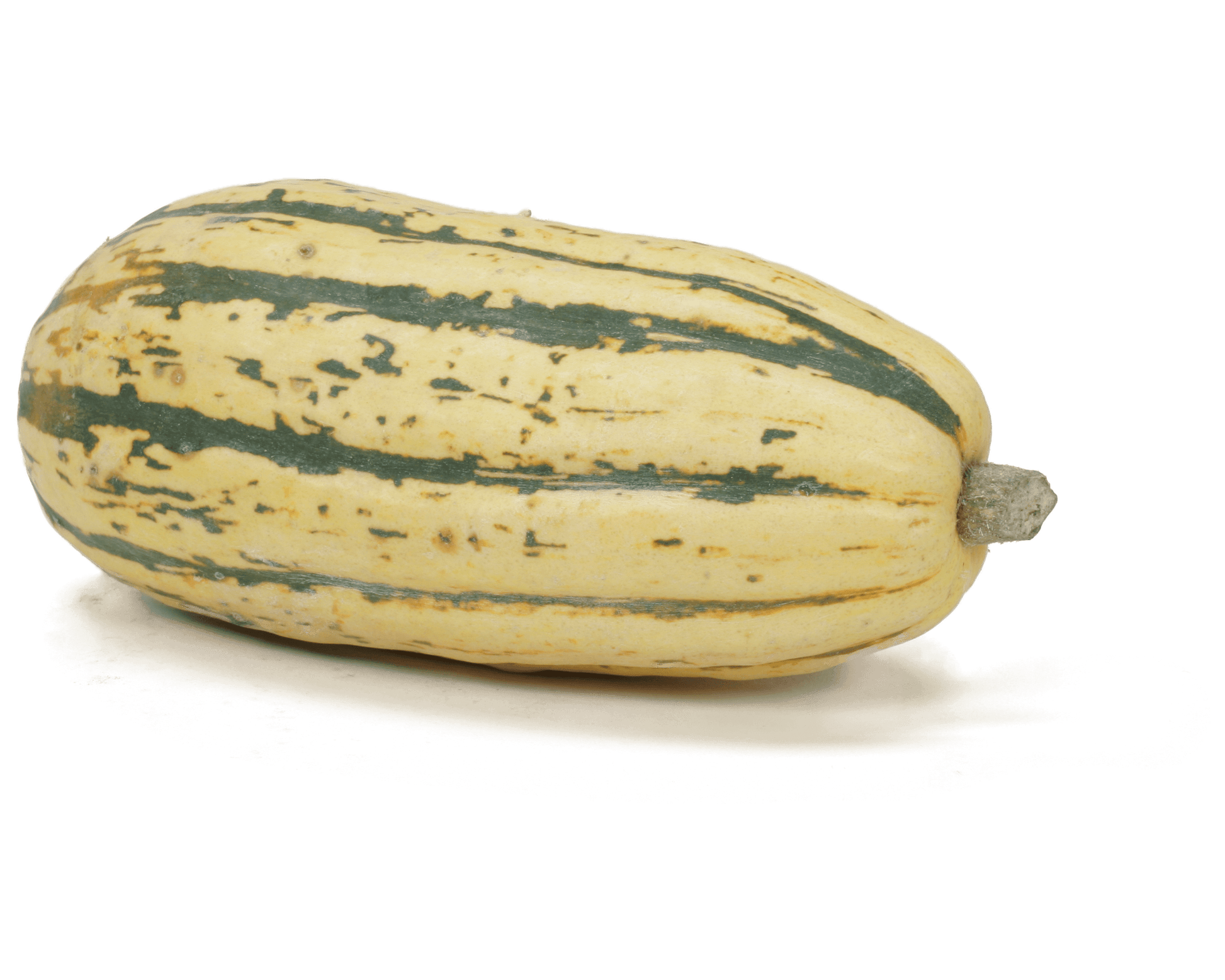 DELICATA SQUASH