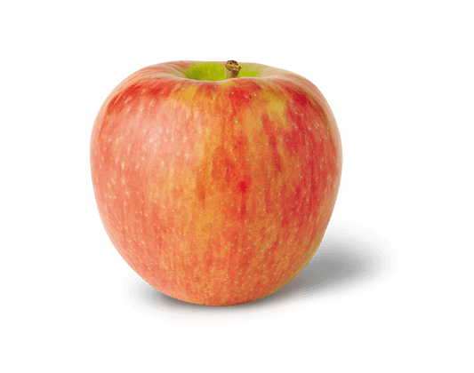 APPLE HONEYCRISP