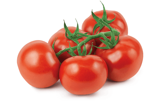 VINE TOMATOES