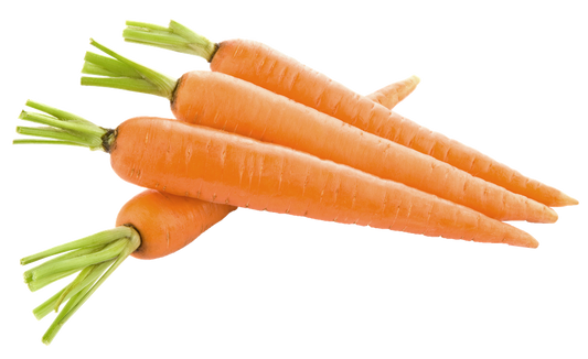 CARROTS