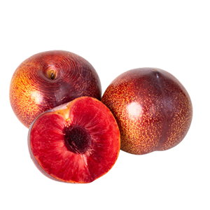 PLUMS