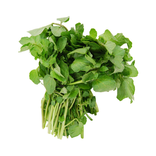 WATERCRESS