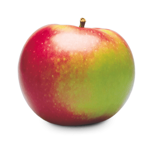 APPLE MCINTOSH