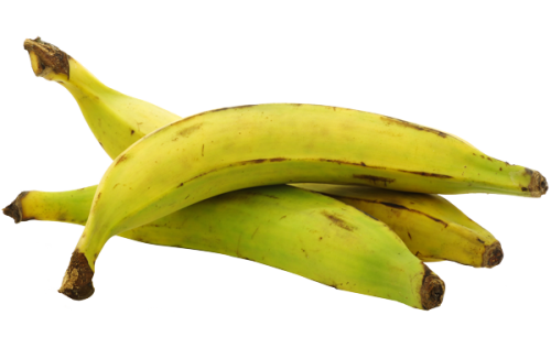 PLANTAIN