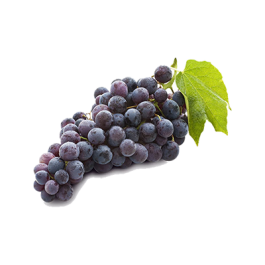 CONCORD GRAPES