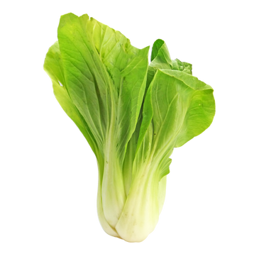 BOK CHOY 