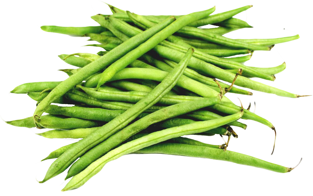BEANS