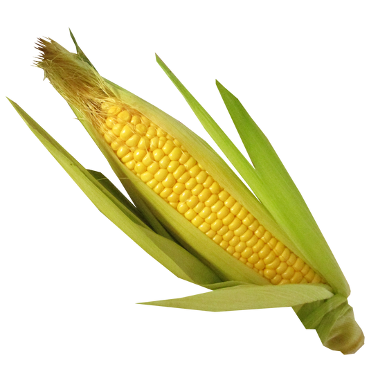 CORN